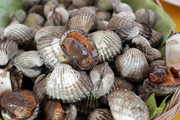 steamed blanched clams seafood