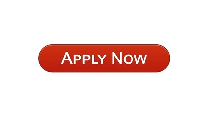 Apply now web interface button wine red color, online education program, vacancy