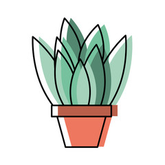 potted plant leaves interior decoration vector illustration