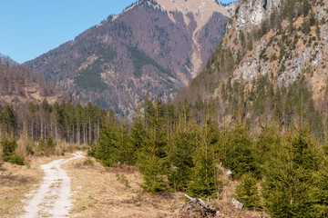 Fototapeta na wymiar Österreich Totes Gebirge