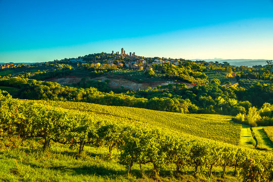 San Gimignano panoramic medieval town towers skyline and vineyards. Tuscany, Italy