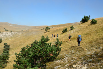Fototapeta premium Tourists go to the mountain in the afternoon in the summer