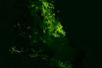 Green flame. Burning of rice straw at night.