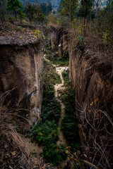 Fototapeta premium ravine trail forest gorge