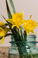 Fototapeta na wymiar Daffodils in blue jar
