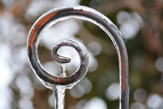 Glaciation After The Spring Thaw. Decorative Metal Support For Climbing Plants Is Covered With Ice. Icicle Hanging From The Decorative Support.