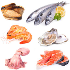 Fresh seafood