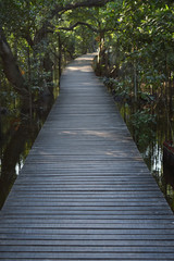 Obraz premium wood bridge