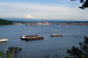 Sailboat Regatta Commencement Bay Port of Tacoma Mt Rainier