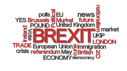 Brexit word cloud typography red