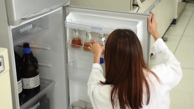 Asian Female science working and sorting microbial culture sample in glass bottle flask in refrigerator in laboratory for biology and pathology education lab test.