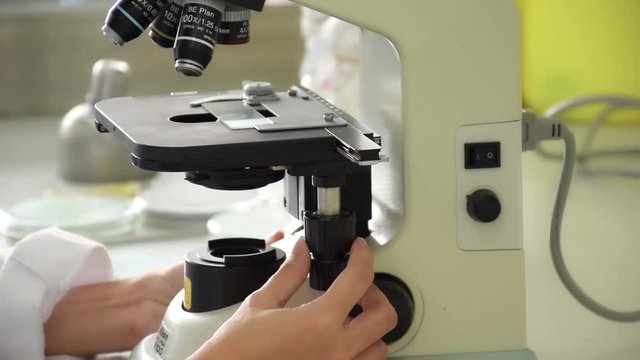Closeup of scientist hand adjusting and setting microscope and lens eye piece for microbiology test in laboratory in biology science lab research concept. 