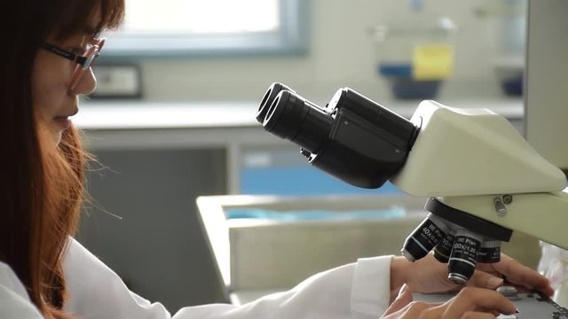 Closeup of Asian Thai university college student or scientist is looking through microscope eye piece and adjusting objective lens for microbiology test in laboratory. Science lab research education c