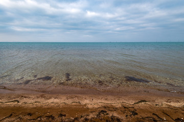 Sea shore in cloudy weather, seaweed ashore