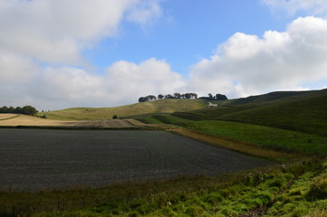 Cherhill White Horse