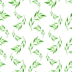 watercolor pattern, seamless background, card with an illustration - wild grasses, algae, twigs, green branch, basil, sprout, plant. Done in watercolor. green color. Green plants on a white background