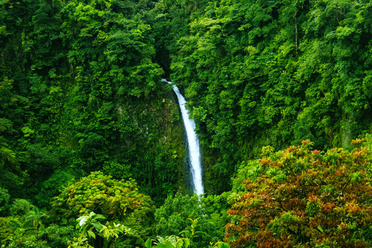 Waterfall Of La Fortuna In The Arenal Volcano National Park, Costa Rica