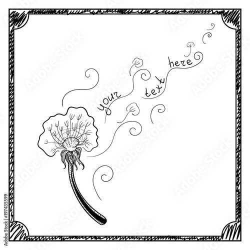 "doodle dandelion" Stock image and royalty-free vector files on Fotolia