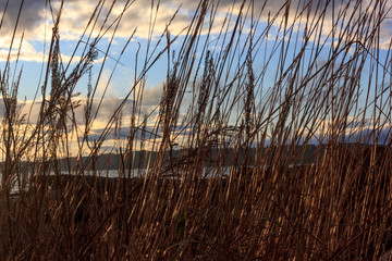 sunny beach with sand dunes and blue sky