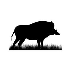 wild boar silhouette