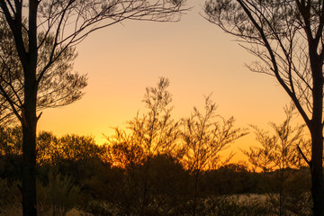 Orange sunset in the outback of the Northern Territory in Australia