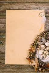 Closeup nest with quail eggs and feather in right side of sheet of paper for text on wood board. Top view vertical background.