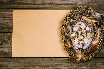 Closeup nest with quail eggs and feather in right side of sheet of paper for text on wood background. Top view.