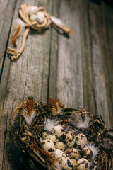 Closeup bird nest with quail eggs and feather beside sheet of paper for text on wood background.