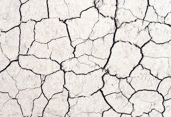White cracked earth texture background