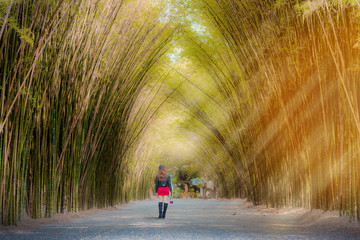 Woman tourists walk the bamboo tunnel.