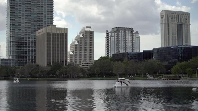 Swan Boats In Lake Eola