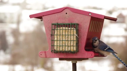 Back again for a little snack