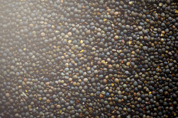 Raw organic marbled green lentils texture. Food ingredient background. Top view