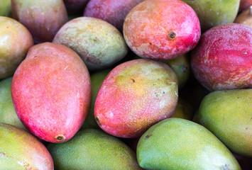 mango, food, vegetable, mangos fresh