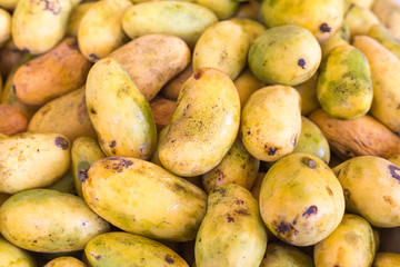 mango, food, vegetable, mangos fresh