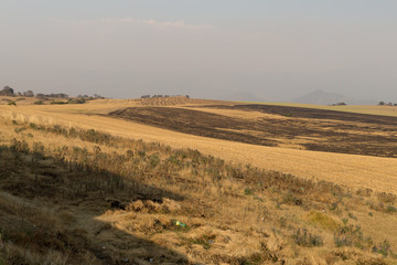 landscape, sky, nature, grass