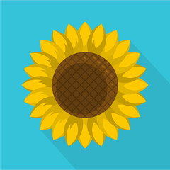 Round sunflower icon. Flat illustration of round sunflower vector icon for web