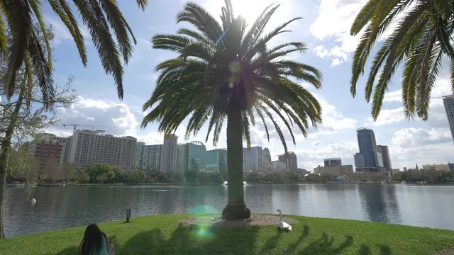 Palm trees in Lake Eola Park on a sunny day