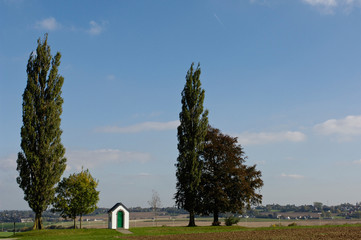 arbre paysage chapelle champs environnement