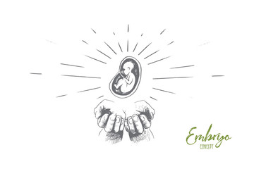 Embryo concept. Hand drawn hands with embryo. Symbol of protection of motherhood isolated vector illustration.