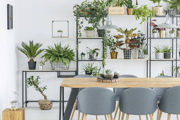 Dining room interior with plants