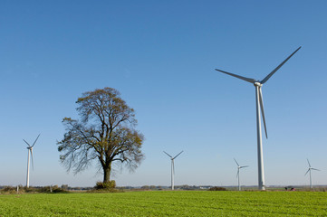 Fototapeta na wymiar arbre éolienne energie environnement paysage
