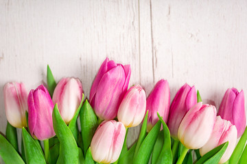 Obraz na płótnie Canvas Tulips on the white wooden background