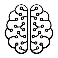 sketch of brain icon over white background, vector illustration