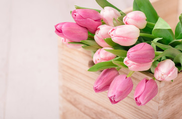 Tulips in the wooden box