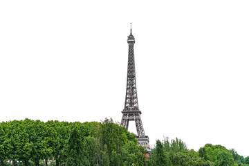 The Eiffel Tower emerging over trees isolated on white