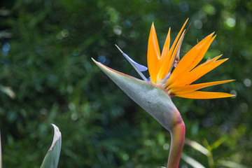 Obraz premium Paradise