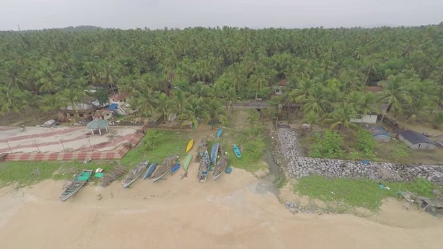 An aerial view of a beach in the city of Kerala, India with tropical trees.