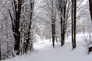 Photo of snowy landscape covered with snow and road in winter