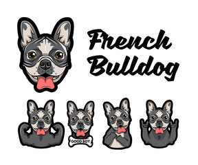 French bulldog with different gestures.  illustration.